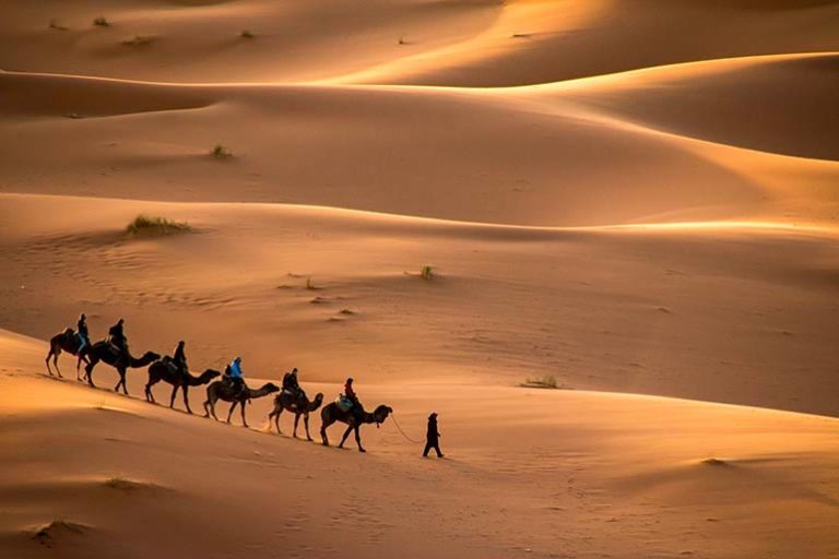 Mundi oraganisation voyage desert