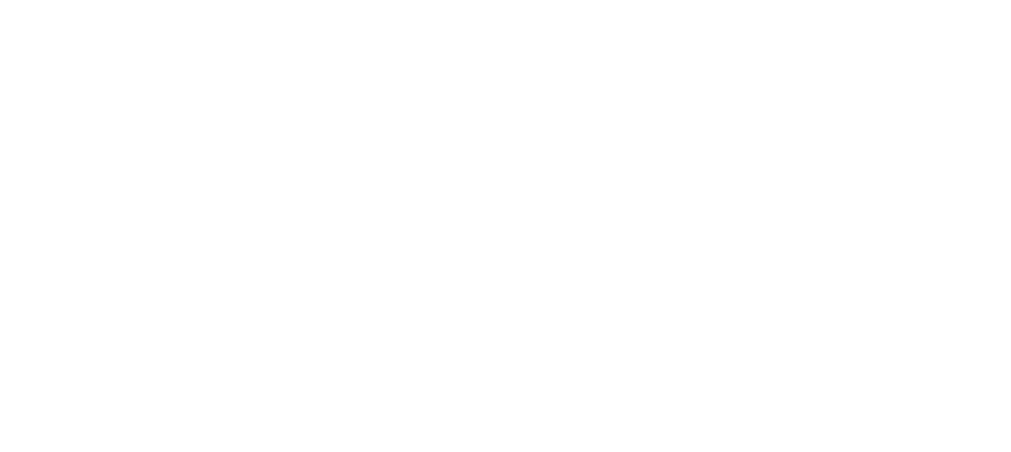Mundi Partner